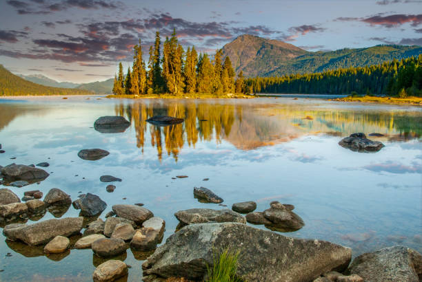 Meadow with matted down green grassy plant along the shores of a lake. Nature background image.