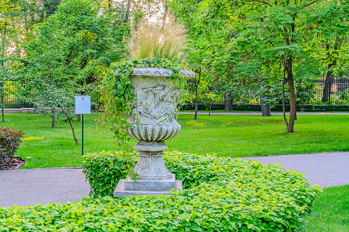 Vase in the park with green bushes and trees in the background. Marble vase outdoor in the park. Park decoration. Kharkiv, Ukraine 07-07-2023