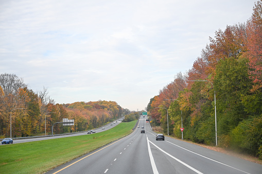 Road in the autumn