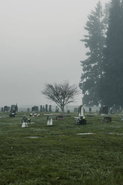 istock Gloomy Graveyard (Cemetery) with Trees and Fog 2056734652