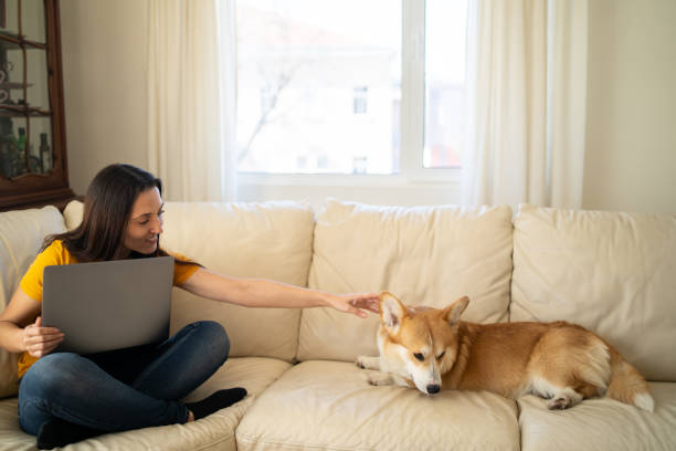 istock A woman and a Corgi 2056740008