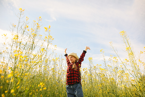 happy little girl with hat with her hands up. farmland with yellow flowering rapeseed, kid with outstretched arms