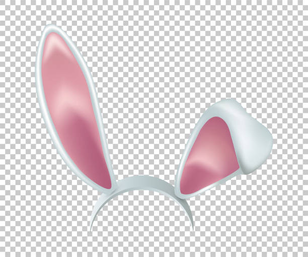 Rabbit ears realistic 3d vector illustration. Easter bunny ears kid headband, mask. Hare costume white and pink element. Photo editor, booth, video chat app isolated on transparent background Rabbit ears realistic 3d vector illustration. Easter bunny ears kid headband, mask. Hare costume white and pink element. Photo editor, booth, video chat app isolated on transparent background. bunny ear stock illustrations