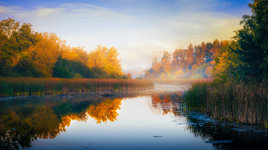 Golden colors and early morning mist at a beautiful pond.
