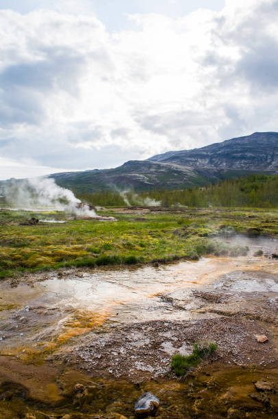 Geothermal area releasing steam under a blue sky, with a snow-capped mountain in the background