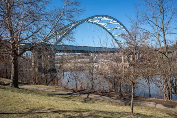 A scenics shot from a green park towards the Esplanade Riel bridge in Winnipeg, Manitoba, Canada