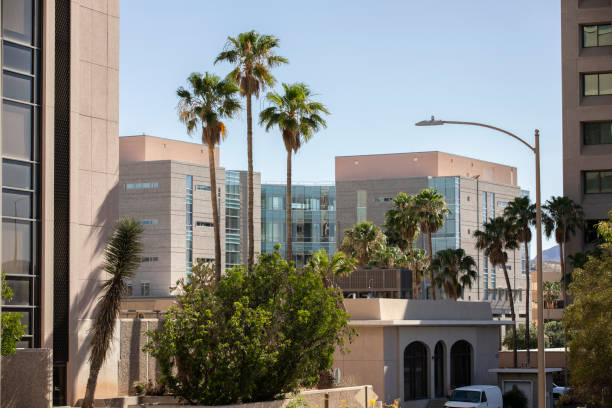 istock Downtown Tucson Cityscape and Palms 2056956906