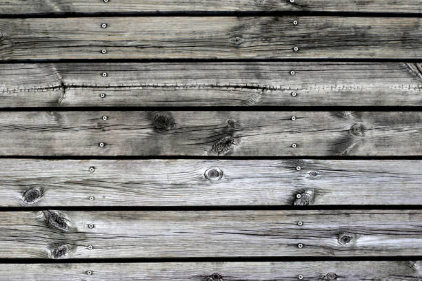 istock Wood floor texture. Wood background. 2056961016