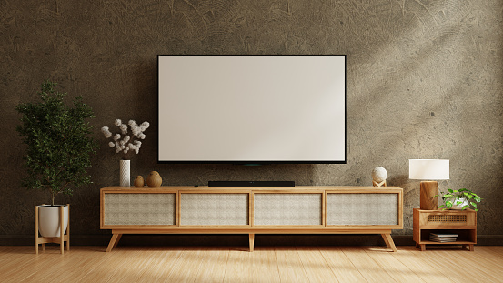 TV on the wood cabinet in modern living room with plant on concrete wall background- 3D rendering