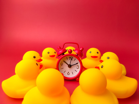 A red clock surrounded by yellow toy ducks on a red background