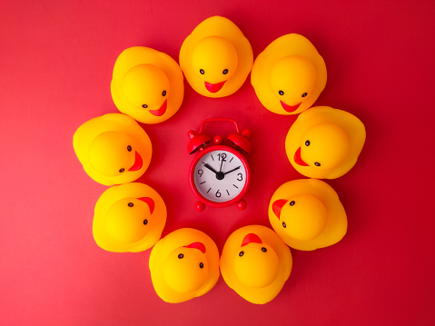A red clock surrounded by yellow toy ducks on a red background