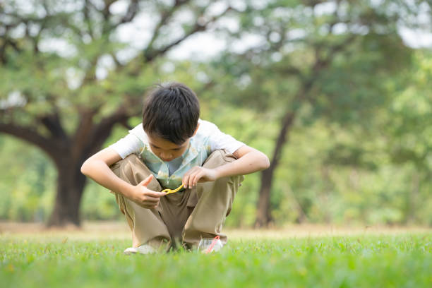 A young boy in a white shirt and blue jeans sits on the grass, enjoying a peaceful moment outdoors. He looks thoughtful while holding a small twig, surrounded by nature on a sunny day.