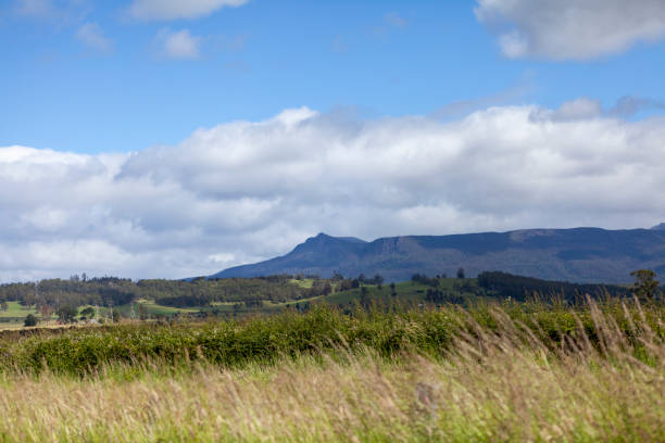 countryside, tasmania, australia - parque nacional das muralhas de jerusalém - fotografias e filmes do acervo