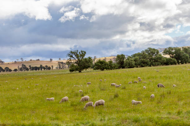 Hobart, Tasmania, Australia