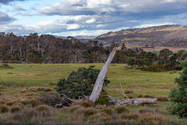 Hobart, Tasmania, Australia