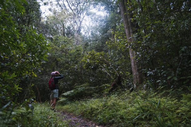 istock Woman looking for birds in a lush green forest 2057122739