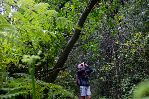 istock Woman on a walk in a lush rainforest looking for birds 2057123818