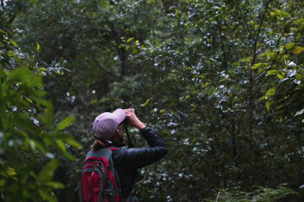 istock Female nature lover out birding in a lush forest 2057126447