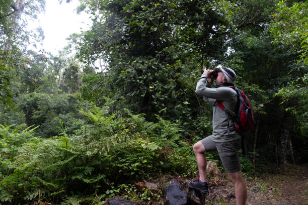 istock Male nature lover out birding in a pristine forest 2057129698