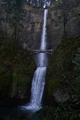 Multnomah Falls, nestled in the lush forests of the Columbia River Gorge. It is surrounded by verdant greenery and framed by towering cliffs, its misty veil captivates visitors, making it one of Oregon's most iconic natural wonders.