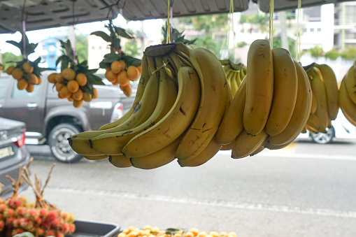 Banana hanging at a fruit stall