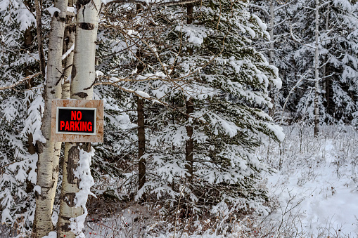A rural treed area, covered in snow shows a red ”No Parking” sign attached to a tree with a wooden board.
