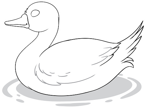 Simple vector illustration of a duck floating