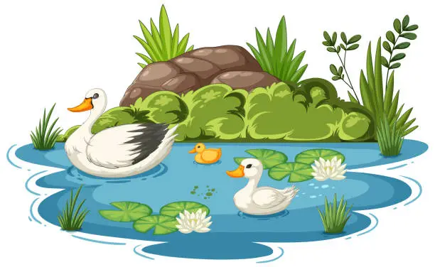 Vector illustration of Vector illustration of ducks in a tranquil pond setting