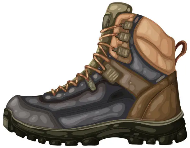 Vector illustration of Detailed vector of a sturdy hiking boot.