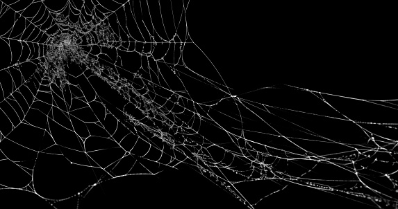 Realistic Spider s web stock image