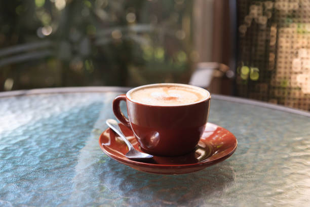 Hot coffee or latte A coffee drink made from espresso and steamed milk.