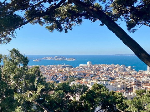 View from the mountain of the Marseille region and the Mediterranean Sea, in the distance a small island in the sea, fluffy fir trees with large branches, clear blue sky, blue water, horizon line