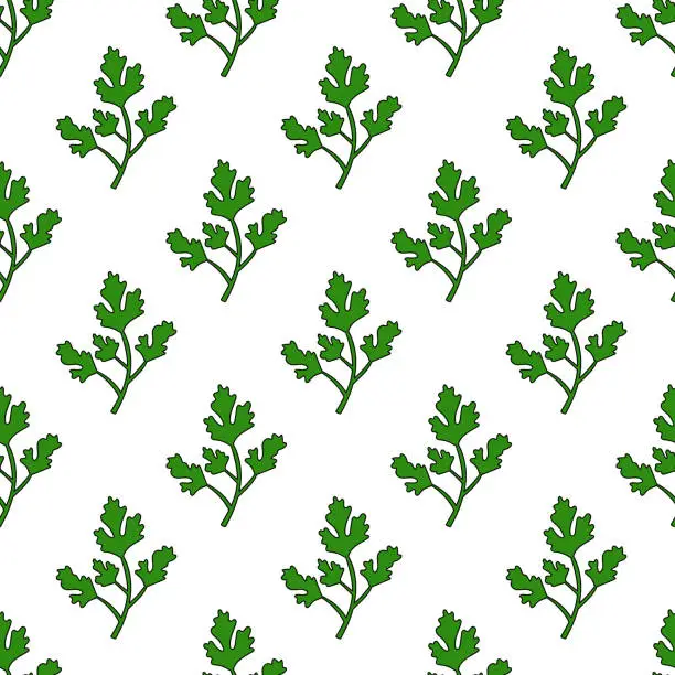 Vector illustration of Parsley twig Seamless Pattern. Spice, condiment and herb. Kitchen cooking background. Food Doodle Wallpaper. Vector flat illustration.