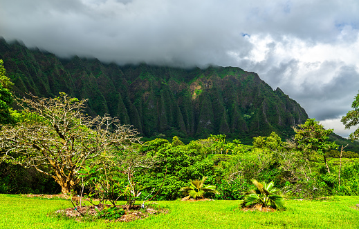 Ho'omaluhia Botanical Garden with views of Ko'olau mountains on O'ahu island, Hawaii