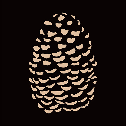 Simple Minimalist Dried Pine Cone Seed Illustration Design
