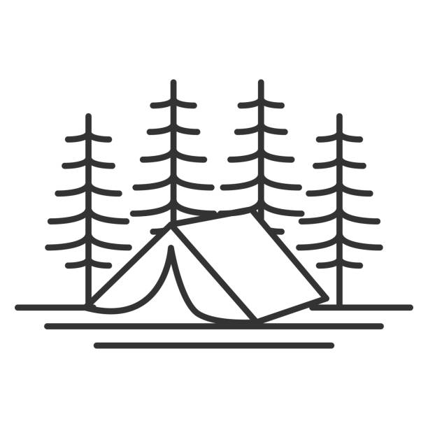 ilustrações, clipart, desenhos animados e ícones de hipster pine cedar spruce conifer hemlock cypress evergreen fir trees floresta com tenda para ilustração de escoteiro de acampamento ao ar livre - pine tree forest summer evergreen tree