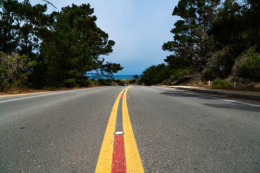 A yellow road median line on black asphalt with trees on either side leading to the ocean.