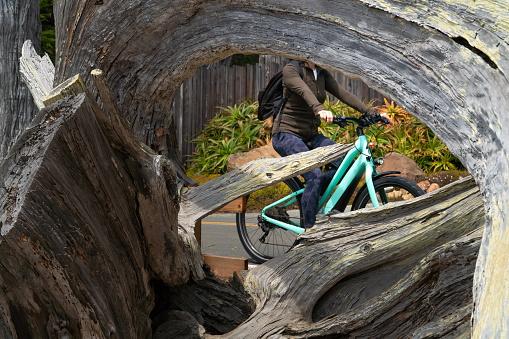 A woman in athletic gear riding a teal bicycle down the street behind a weathered tree branch.