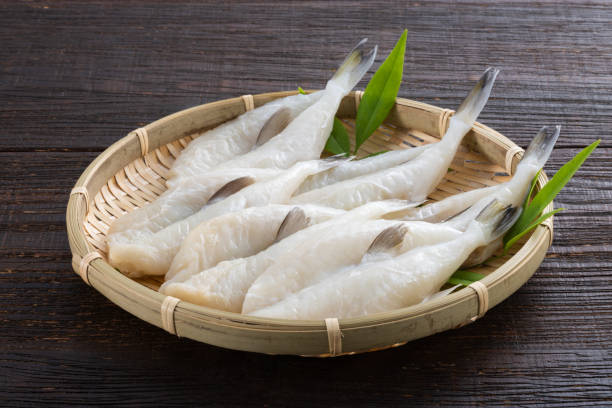 istock Dried overnight of Puffer fish 2057326377
