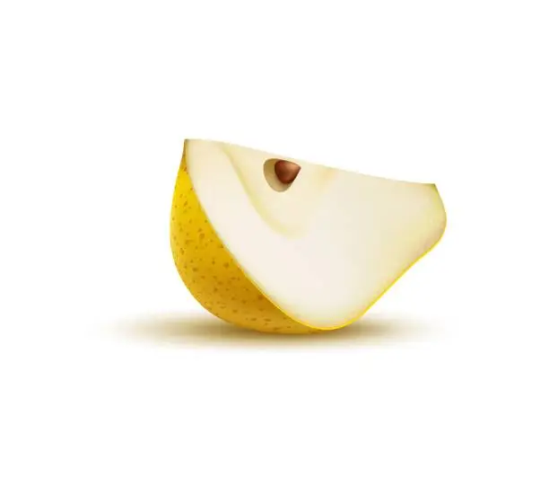 Vector illustration of Realistic yellow pear cut quarter, ripe raw fruit