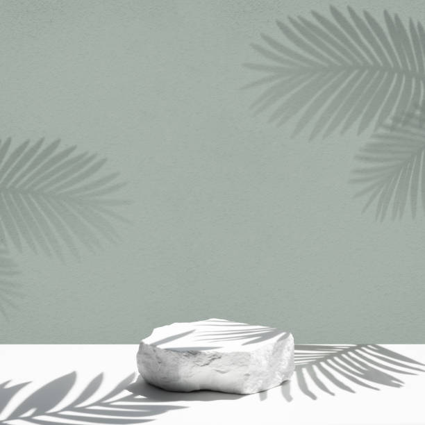 istock Selective focus.sandstone top product display platform in tropical design with shadow palm leaf on pastel wall background. 2057354953