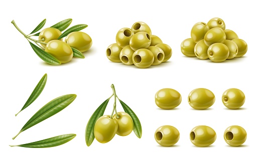 Realistic green olives, isolated olive branch with leaves. Isolated vector set of tasty and briny popular mediterranean snack with vibrant green color and firm texture. Versatile cuisine ingredient