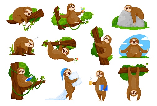 Cartoon funny sloth characters of cute lazy sleeping animal vector set. Sloth or tropical jungle sleepy bear hanging on tree, sleeping or snooze with pillow in pajamas, drinks coffee and reads book