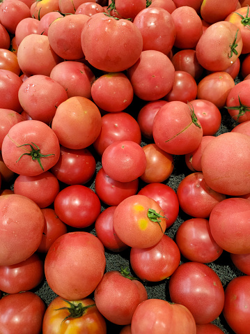 Market fresh tomatoes