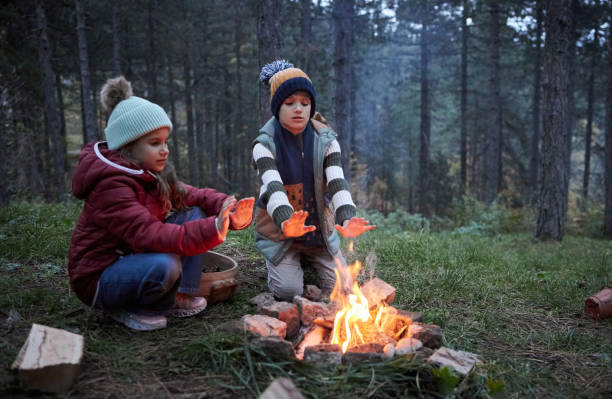 istock Memorable moments near campfire 2057397951