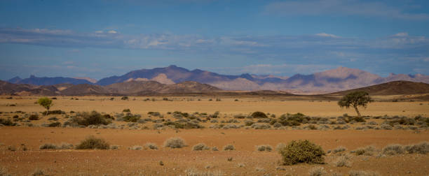 istock Namib desert landscape 2057405886