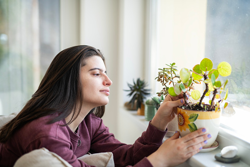 Young woman taking care of a house plant at home.