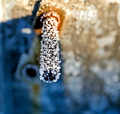 ice crystals on a rusty screw, illuminated by the morning sun