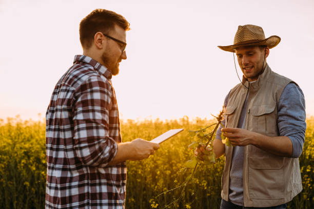 istock farmers life 2057423358