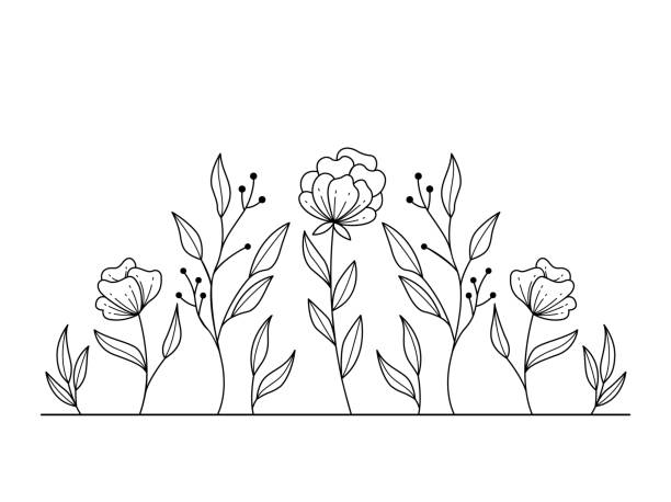 Hand-drawn wild flowers sketch set isolated on white background. Spring herbal design. Black Silhouettes Of Grass, Flowers And Herbs. weed leafs clip art stock illustrations